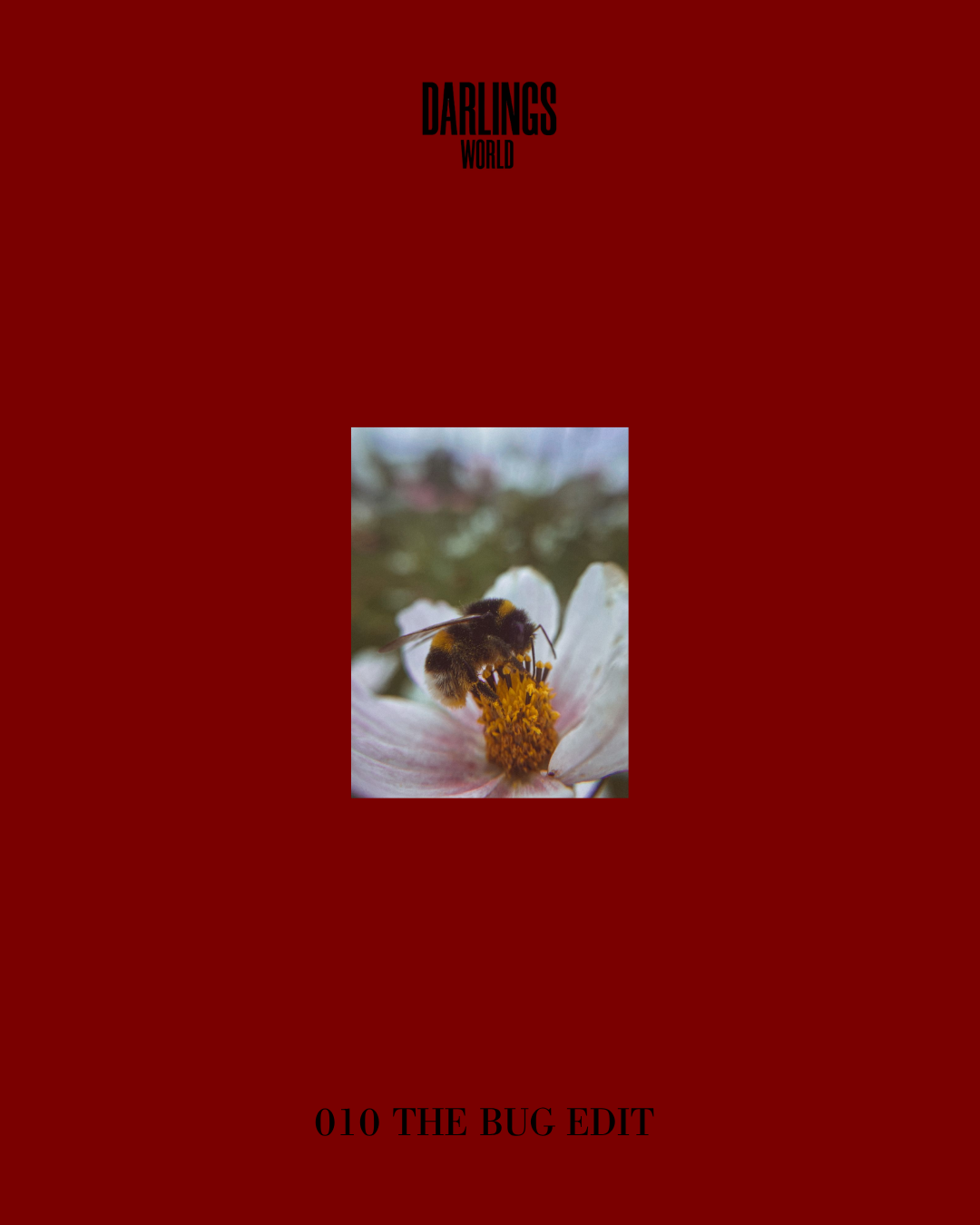 ISSUE 010