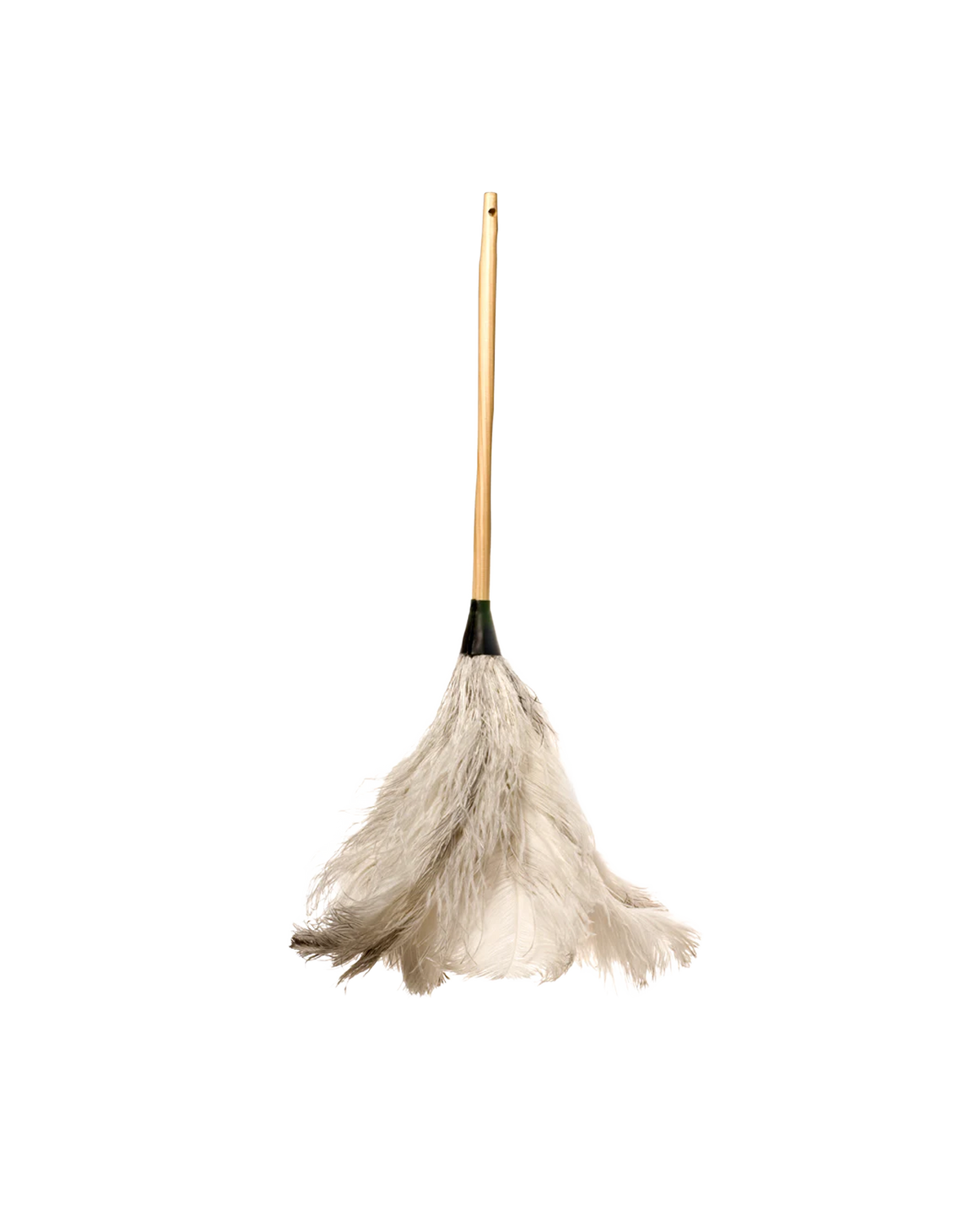 Feather Duster