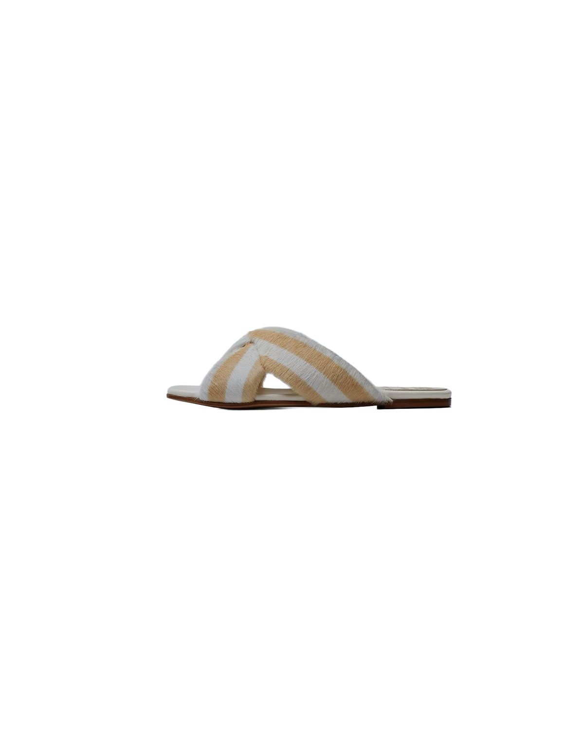 Slides